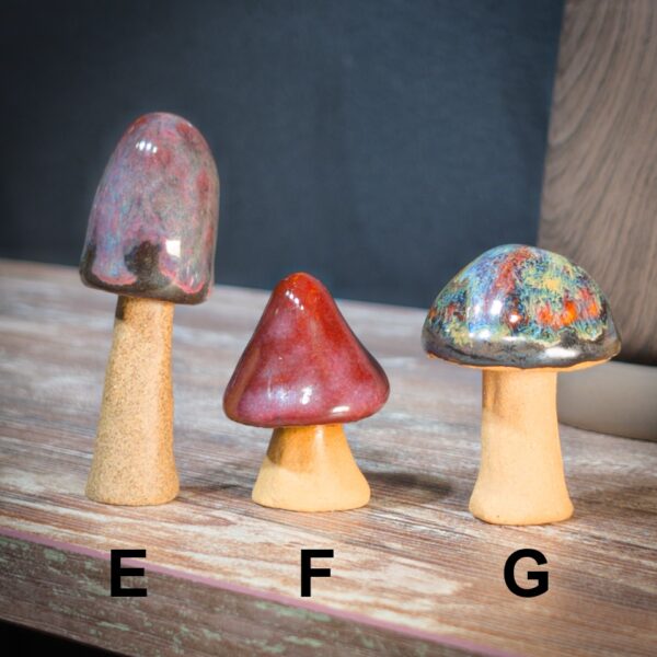 Enchanted Mushroom Minis - Image 2