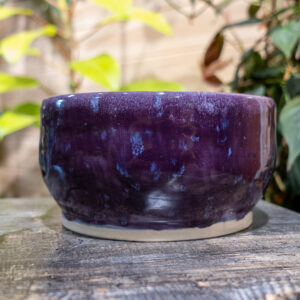 Twilight Speckle Deep Purple Bowl