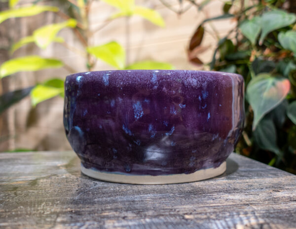 Twilight Speckle Deep Purple Bowl