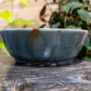 Sky Swirl Sparkle Bowl