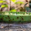 Moss Speckle Amanita Trinket Dish - Image 3