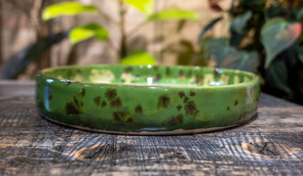 Moss Speckle Amanita Trinket Dish - Image 3