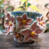 Cherry Blossom Ombre Vase